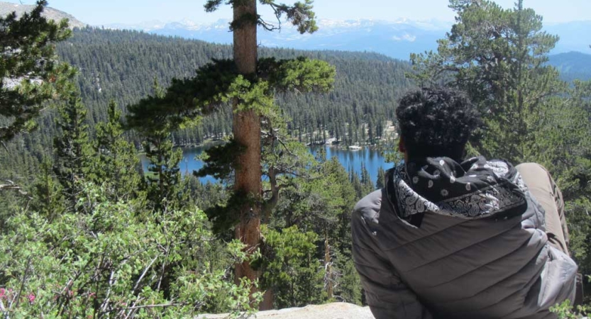 A person facing away from the camera looks out through evergreen trees toward a body of water. 